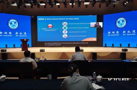 京津冀攜手共探跨境電商新路徑，線上對接會擘畫全球電商合作新藍圖